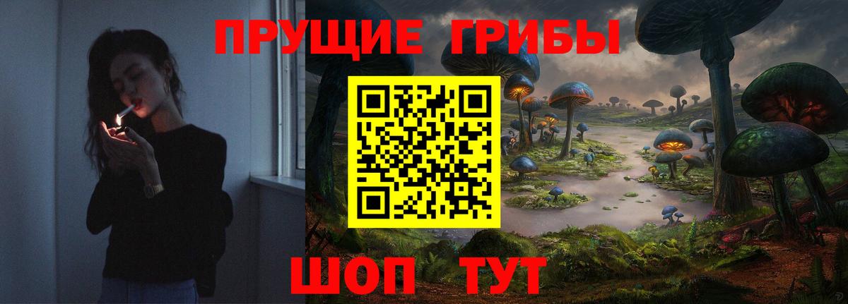 Янаул  Псилоцибиновые грибы прущие грибы  Вход с VPN  Галлюциногенные грибы мухоморы 